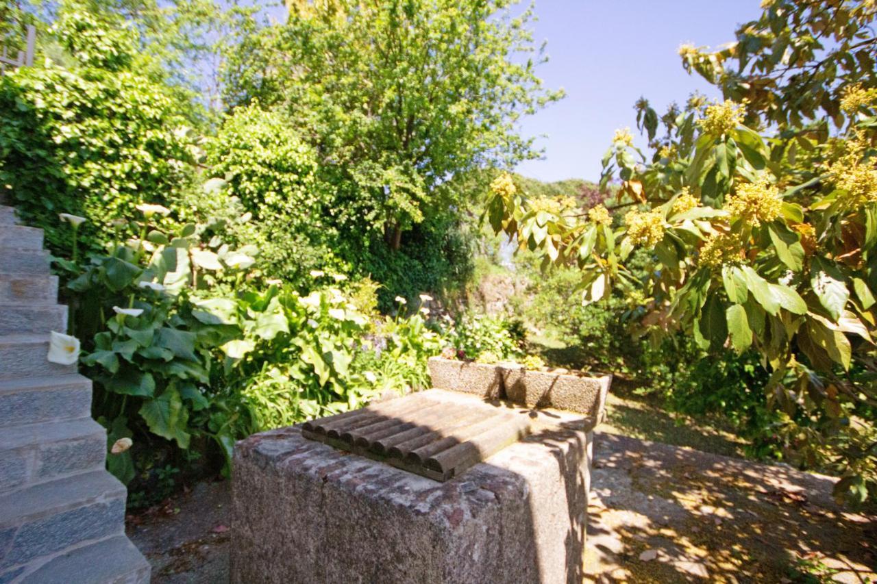 Apartmán Monolocale Fattorialmare Viola Camogli Exteriér fotografie